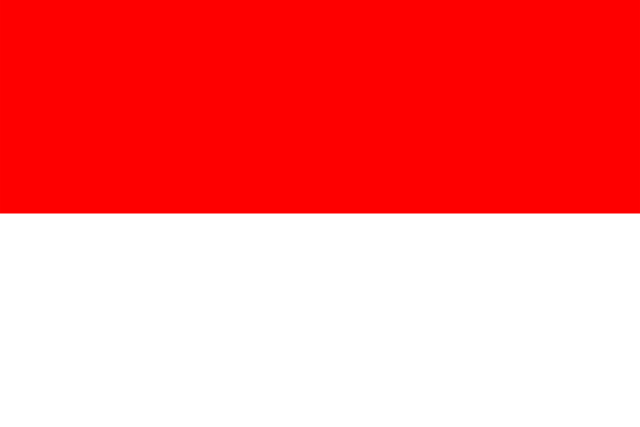 Indonesia Flag for virtual number